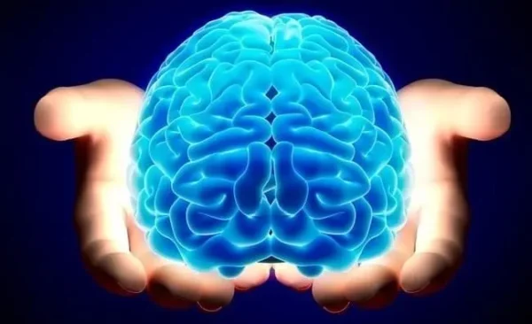 Formazione in Neuroscienze Formazione in Meditazione